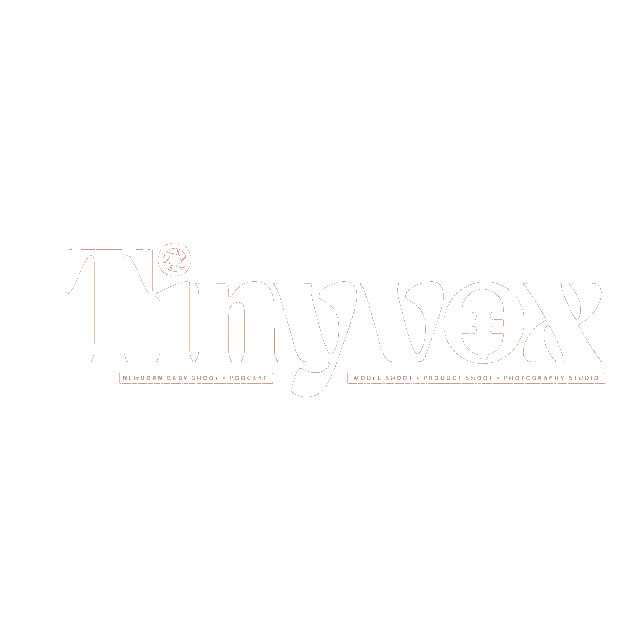 Tinyvox Logo